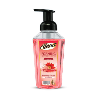 Foaming hand wash variant-4 Tempting Desire