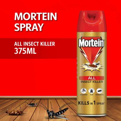 Mortein ALL INSECT KILLER 375ml B2 Sv 1s