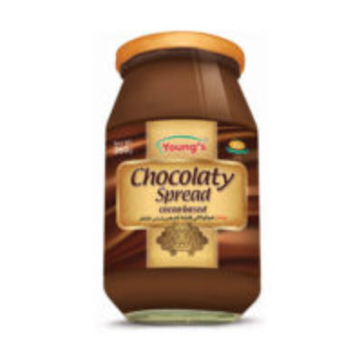 YOUNG’S Chocolate Spread 360ml Bottle 1s